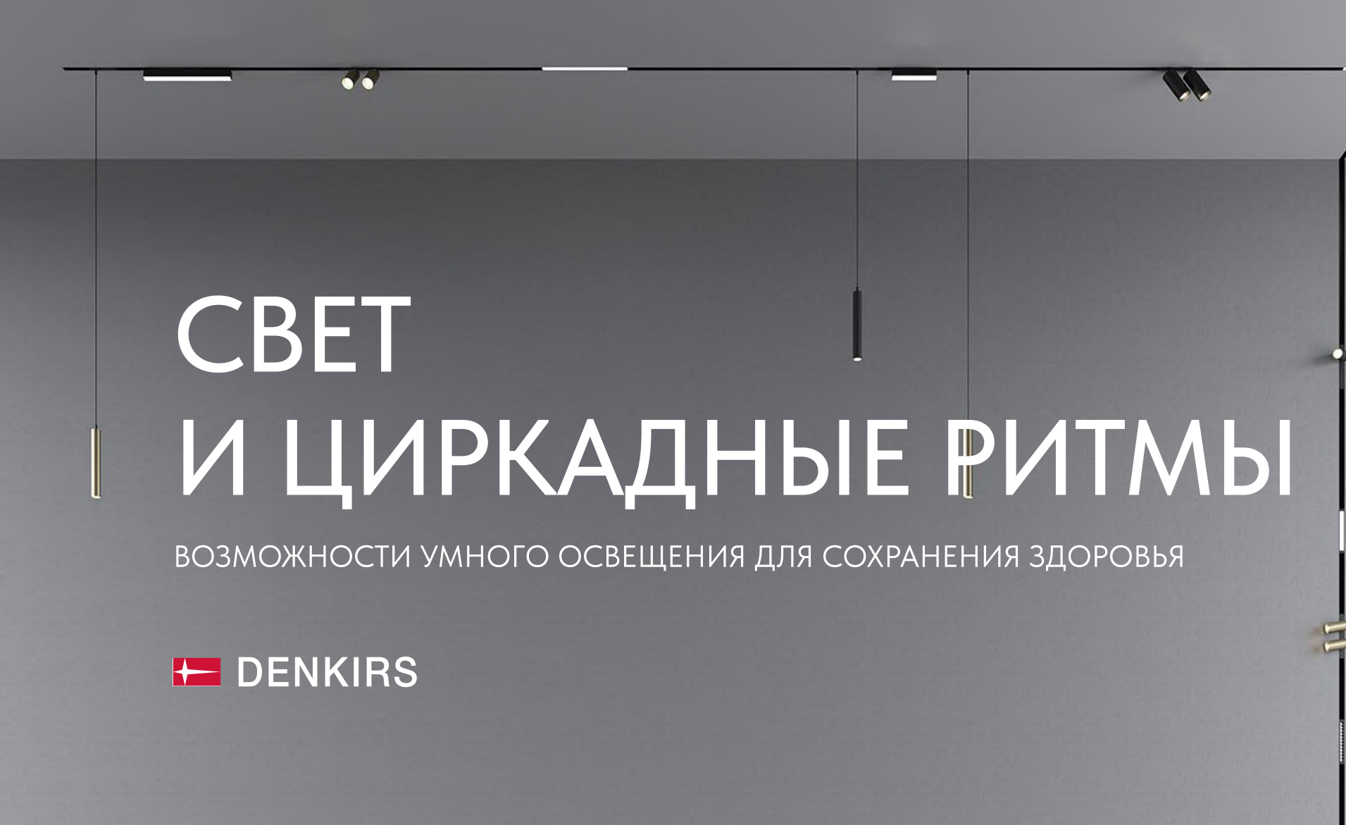 Презентация Циркадные ритмы | скачать PDF