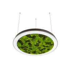 Donolux DL1000S90WW Moss Black Подвесной светодиодный светильник, 90Ватт, D-1000мм.