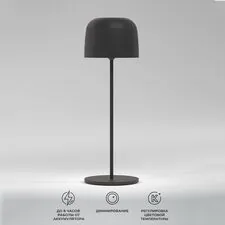 Elektrostandard a069002 TL70260 / Светильник светодиодный настольный Bitty черный