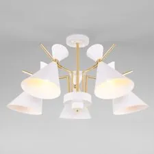 Eurosvet a047641 70114/5 / потолочный светильник / белый