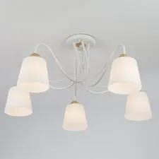 Eurosvet 00000081856 70062/5 / потолочный светильник /   белый