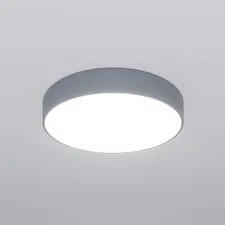 Eurosvet a062834 90319/1 / потолочный светильник / серый