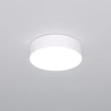 Eurosvet a063076 90318/1 / потолочный светильник / белый