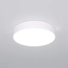 Eurosvet a063077 90319/1 / потолочный светильник / белый