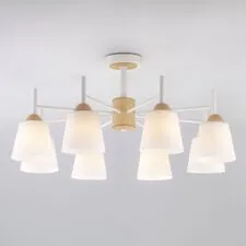 Eurosvet 00000083424 70085/8 / потолочный светильник /   белый