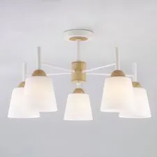 Eurosvet 00000083420 70085/5 / потолочный светильник /   белый