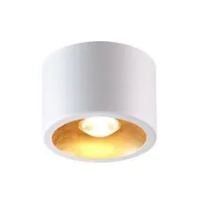 Odeon Light 6668/1CL; 0046496 Потолочный накладной светильник