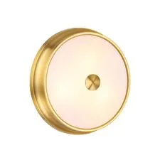 Odeon Light 4824/3C; 0043651 Настенно-потолочный светильник