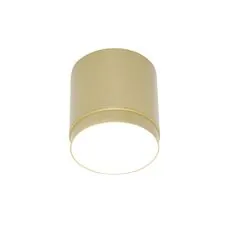 Maytoni Technical C088CL-GX53-MG Светильник потолочный Polar