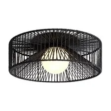 Freya FR5405CL-01B Потолочный светильник