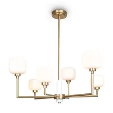 Freya FR5373CL-06BS Потолочный светильник