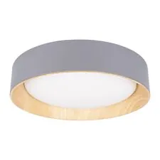 LOFT IT 10202 Grey Потолочный светильник Coin