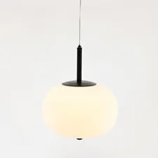 Cloyd 11362 Подвесной светильник AVOGADRO - B P1 диаметр - 25 см, черный опаловое стекло