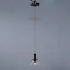 Cloyd 11114 Подвесной светильник VIKRAM P1 диаметр - 13 см, черный