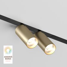 Denkirs DK8012-BG Акцентный светильник SMART SPOT DOUBLE 2x9W DIM 3000K-6000K, матовое золото с черным