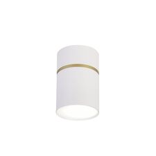 Favourite 3067-1C, потолочный светильник, D68xH100, 1xGU10LEDx10W, IP20, excluded