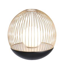 Favourite 4240-1T, настольный светильник, D305xH290, LEDx7W, 650LM, 4000K, included, switch