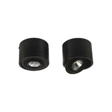 Favourite 1779-1C, потолочный светильник, D112xH85, 1xLEDx12W, AC:100-240V, 960LM, RA>80, IP21, 960LM, 4000K, included