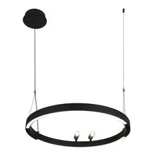 F-Promo 4474-1P, подвесная люстра, D600xH1000/1800, LEDx58W + 2xLEDx3W, 1860LM, 3000-6500K, included, remote control