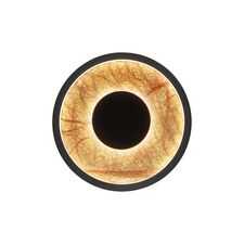 Favourite 4445-1W, настенный светильник, D90xW290xH290, LEDx20W, 230LM, 4000K, included