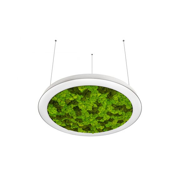 Donolux DL800S72WW Moss White Подвесной светодиодный светильник, 72Ватт, D-800мм.
