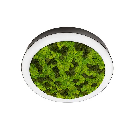 Donolux DL1000C90WW Moss Black Накладной светодиодный светильник, 90Ватт, D-1000мм., изображение 2