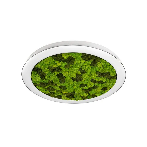 Donolux DL1000C90WW Moss White Накладной светодиодный светильник, 90Ватт, D-1000мм., изображение 3