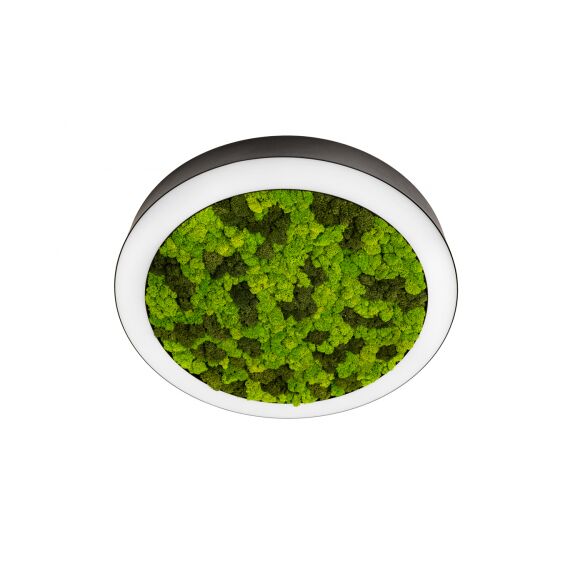 Donolux DL1000C90WW Moss Black Накладной светодиодный светильник, 90Ватт, D-1000мм.