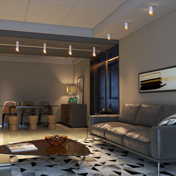 Elektrostandard a050119 DLN114 GU10 Светильник накладной белыйзолото, изображение 2