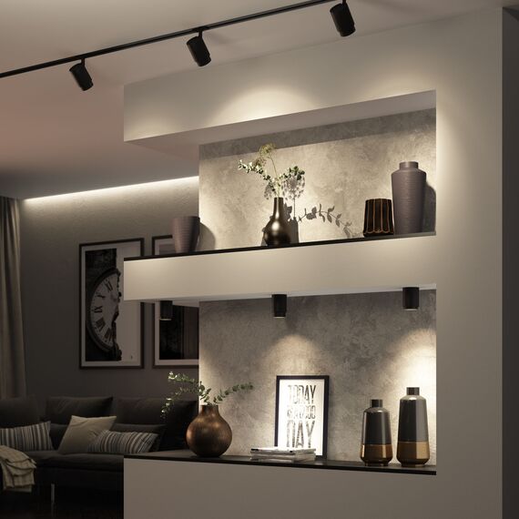 Elektrostandard a062384 Светильник потолочный светодиодный Cors 10W (25032/LED) чёрный, изображение 4