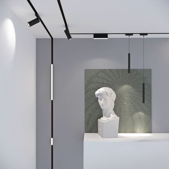 Elektrostandard a063714 Flat Magnetic Трековый светильник 6W 4000K Alliet (чёрный) 85097/01, изображение 7