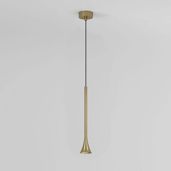 Elektrostandard a068820 50314 LED 5W 4000K Светильник подвесной светодиодный латунь