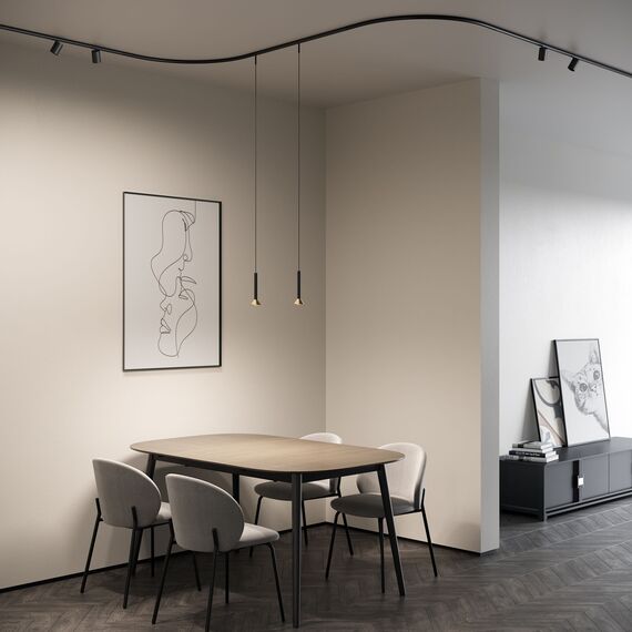 Elektrostandard a067270 Mini Magnetic Шинопровод накладной Round (черный) (1200?) 85168/00, изображение 3