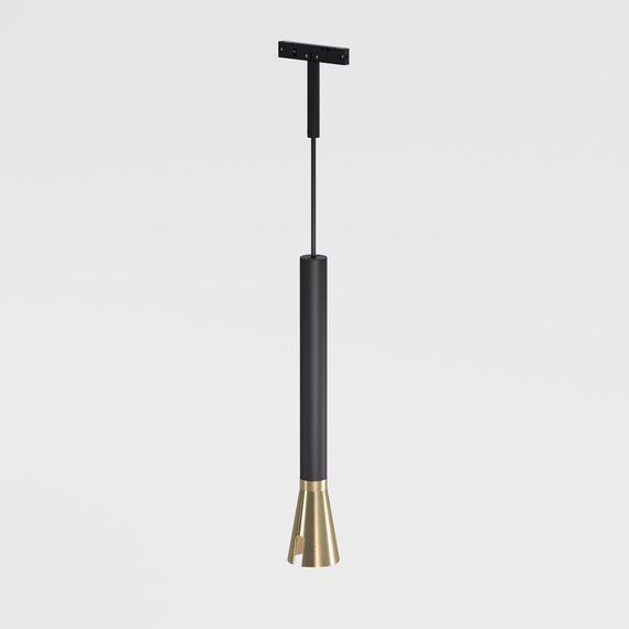 Elektrostandard a065652 Mini Magnetic Трековый светильник 3W 3000K (черный/латунь) 85165/01, изображение 3