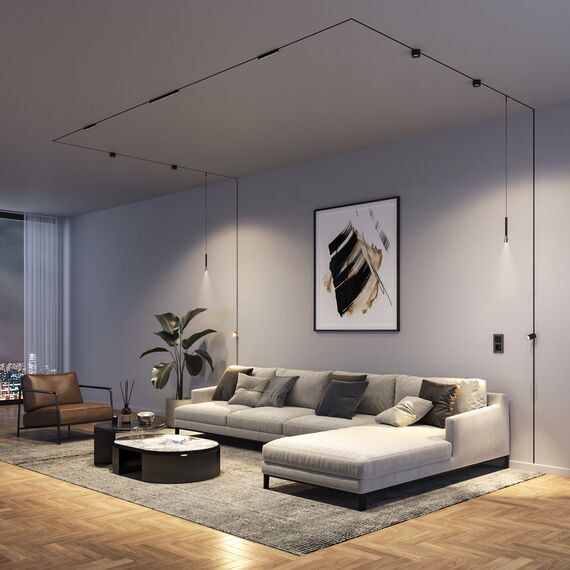 Elektrostandard a065652 Mini Magnetic Трековый светильник 3W 3000K (черный/латунь) 85165/01, изображение 4