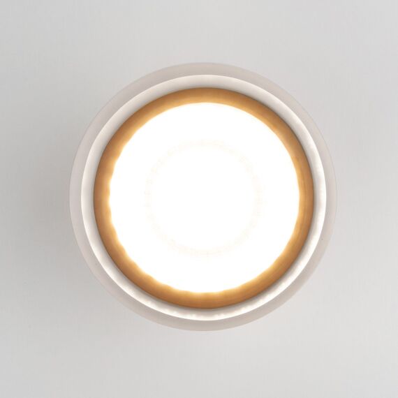 Elektrostandard a057161 35140/H Светильник садово-парковый со светодиодами Light LED 2107 серый, изображение 3