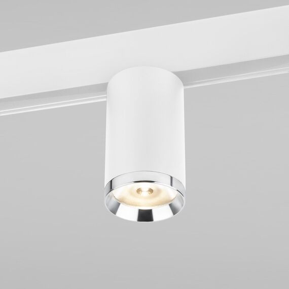 Elektrostandard a061299 Slim Magnetic R06 Трековый светильник 10W 4200K Ringe (белый серебро) 85506/01