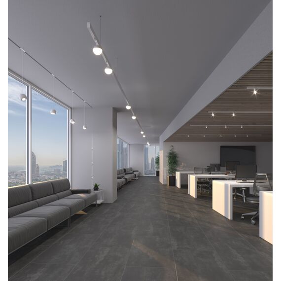 Elektrostandard a061299 Slim Magnetic R06 Трековый светильник 10W 4200K Ringe (белый серебро) 85506/01, изображение 3