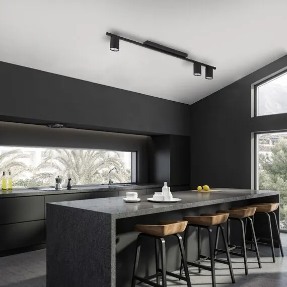 TK Lighting a065378 4565 Потолочный светильник Logan Black, изображение 3