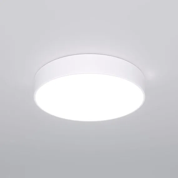 Eurosvet a063077 90319/1 Потолочный светильник белый