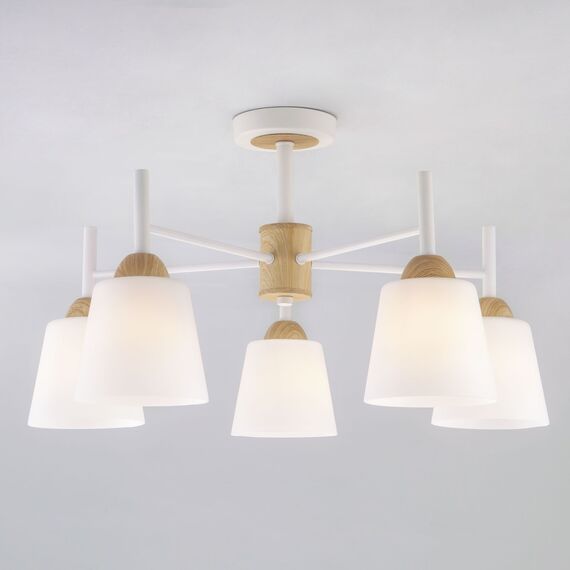 Eurosvet 00000083420 70085/5 Потолочный светильник белый