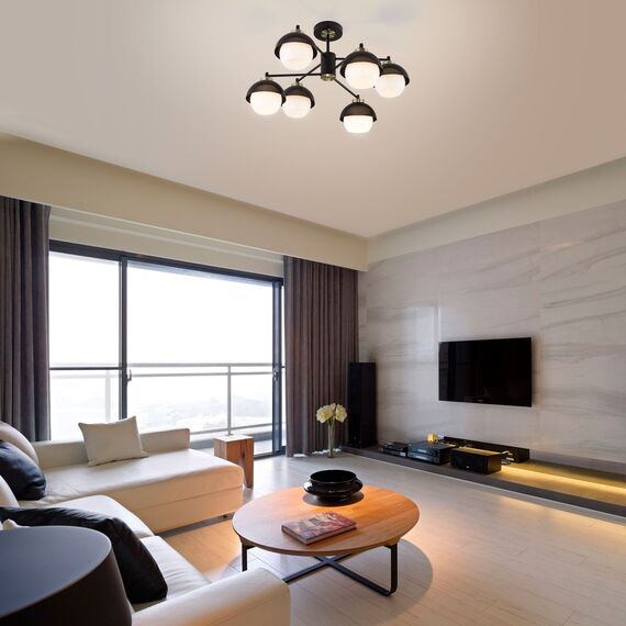 Eurosvet a044934 70106/6 Потолочный светильник черный, изображение 2