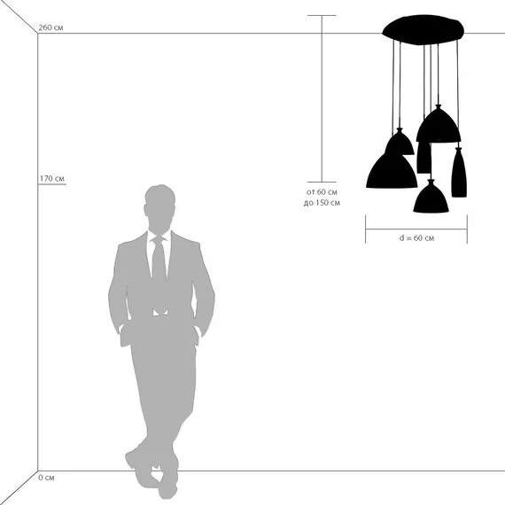 Lightstar 810160 Подвес AGOLA 6х40W E14 ХРОМ/БЕЛЫЙ, изображение 3
