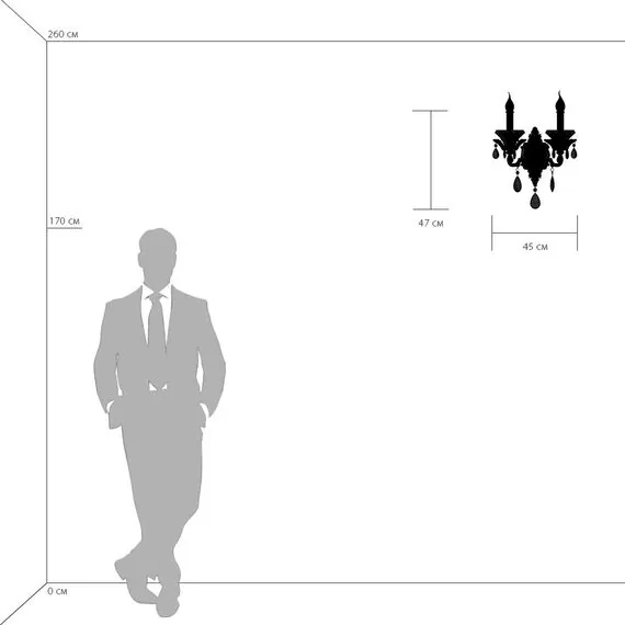 Lightstar 714624 Бра ANEMONE 2x40W E14 Silver, изображение 3