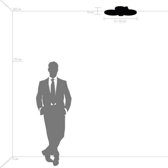 Lightstar 749081 Люстра BREVE LED 80W 6700LM УМБРА 3000K, изображение 3