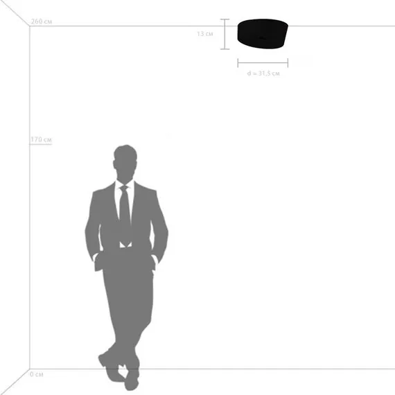 Lightstar 809356 Люстра CELESTA LED 28W 1400LM АЛЮМИНИЙ/БЕЛЫЙ 3000K, изображение 3