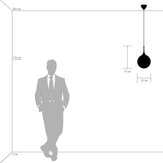 Lightstar 813031 Подвес GLOBO 1х40W E14 electroplating bronze/white, изображение 3