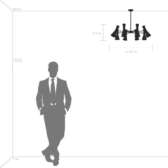 Lightstar 816087 Люстра DUMO 8х40W E14 ЧЕРНЫЙ МАТОВЫЙ/ЗОЛОТО, изображение 3