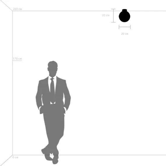 Lightstar 812117 Люстра GLOBO 1х40W E14 matt black/white, изображение 3