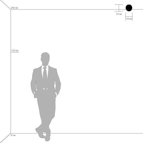 Lightstar 803010 Настенно-потолочный светильник GLOBO 1х40W G9 БЕЛЫЙ/СЛОНОВАЯ КОСТЬ, изображение 3